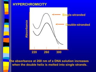 HYPERCHROMICITY
The absorbance at 260 nm of a DNA solution increases
when the double helix is melted into single strands.
260
Absorbance
Single-stranded
Double-stranded
220 300
 