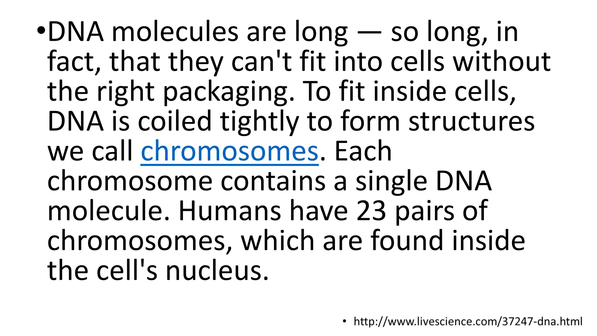 •DNA molecules are long — so long, in
fact, that they can't fit into cells without
the right packaging. To fit inside cells,
DNA is coiled tightly to form structures
we call chromosomes. Each
chromosome contains a single DNA
molecule. Humans have 23 pairs of
chromosomes, which are found inside
the cell's nucleus.
 