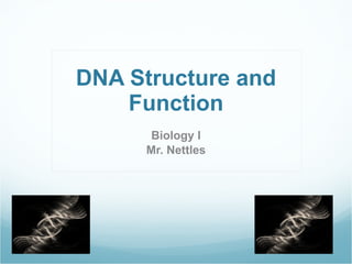 DNA Structure and Function Biology I Mr. Nettles 