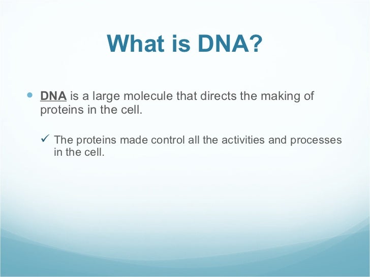 Dna structure and function essay