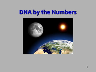 DNA Structure | PPT