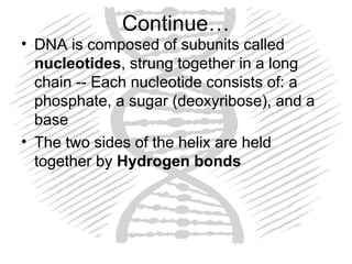 DNA structure and Function: Genetic code | PPT