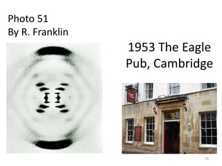 10
Photo 51
By R. Franklin
1953 The Eagle
Pub, Cambridge
 