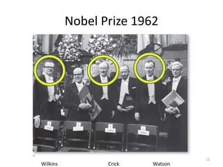 Nobel Prize 1962
12
Wilkins Crick Watson
 