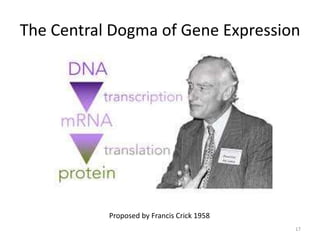 The Central Dogma of Gene Expression
17
Proposed by Francis Crick 1958
 