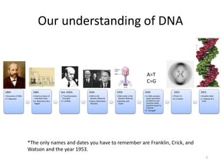 Our understanding of DNA
2
1869
• Discovery of DNA
• F. Miescher
1883
• Chemical basis of
inherited traits
• A. Weismann & K.
Nageli
late 1920s
• "Transformation
Principle"
• F. Griffith
1944
• DNA is the
Genetic Material
• Avery, MacCleod,
McCarty
1950
• DNA really is the
Genetic Material
• Hershey and
Chase
1950
• In DNA samples,
equal quantities
of Adenine and
Thymine while
Guanine equal to
Cytosine
• E. Chargaff
1952
• Photo 51
• R. Franklin
1953
• Double Helix!
• J. Watson & F.
Crick
A=T
C=G
*The only names and dates you have to remember are Franklin, Crick, and
Watson and the year 1953.
 