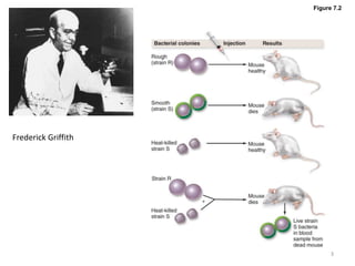 Figure 7.2
Frederick Griffith
3
 