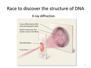 Race to discover the structure of DNA
6
X-ray diffraction
 