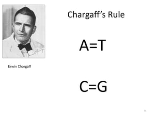 Chargaff’s Rule
Erwin Chargaff
8
A=T
C=G
 