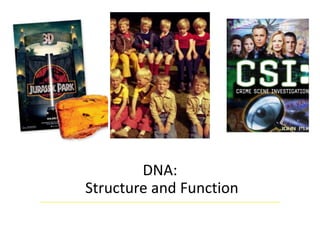 DNA:
Structure and Function
 