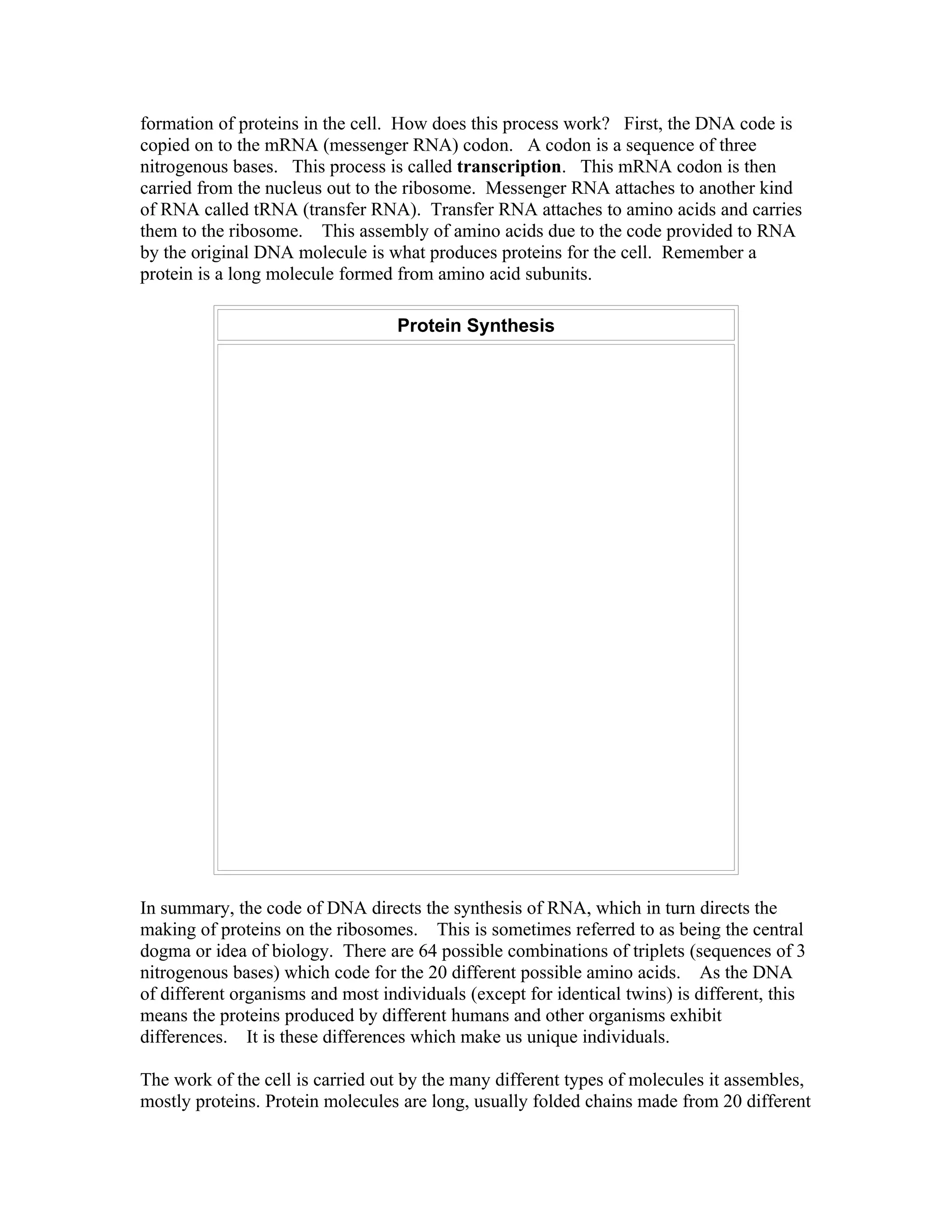 Dna structure and function notes | DOC