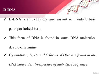 D-DNA
✓ D-DNA is an extremely rare variant with only 8 base
pairs per helical turn.
✓ This form of DNA is found in some DNA molecules
devoid of guanine.
✓ By contrast, A-, B- and C forms of DNA are found in all
DNA molecules, irrespective of their base sequence.
 