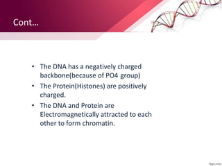 Cont…
• The DNA has a negatively charged
backbone(because of PO4 group)
• The Protein(Histones) are positively
charged.
• The DNA and Protein are
Electromagnetically attracted to each
other to form chromatin.
 