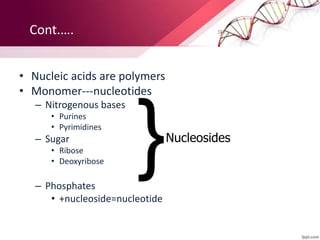 Cont.….
• Nucleic acids are polymers
• Monomer---nucleotides
– Nitrogenous bases
• Purines
• Pyrimidines
– Sugar
• Ribose
• Deoxyribose
– Phosphates
• +nucleoside=nucleotide
}Nucleosides
 