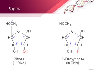 Sugars
 