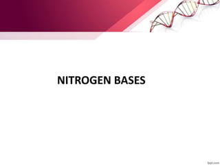 NITROGEN BASES
 