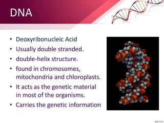 DNA
• Deoxyribonucleic Acid
• Usually double stranded.
• double-helix structure.
• found in chromosomes,
mitochondria and ...