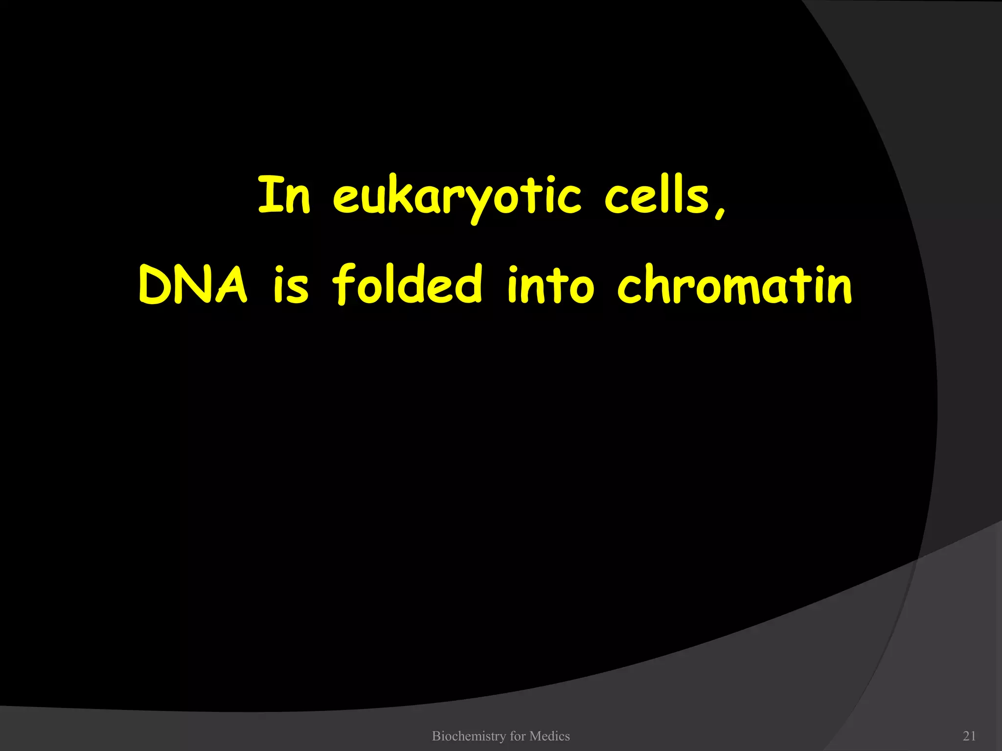 DNA structure, Functions and properties | PPT