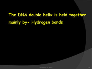 The DNA double helix is held together 
mainly by- Hydrogen bonds 
 hydrogen bonding; 
 base stacking 
Biochemistry for Medics 15 
 