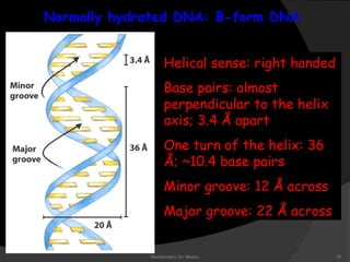 Normally hydrated DNA: B-form DNA 
Helical sense: right handed 
Base pairs: almost 
perpendicular to the helix 
axis; 3.4 Å apart 
One turn of the helix: 36 
Å; ~10.4 base pairs 
Minor groove: 12 Å across 
Major groove: 22 Å across 
Biochemistry for Medics 20 
 