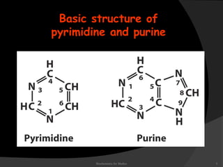 Basic structure of 
pyrimidine and purine 
Biochemistry for Medics 5 
 