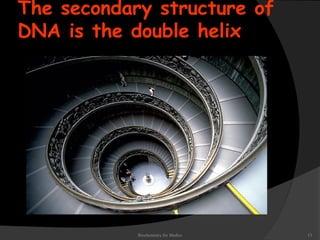 The secondary structure of 
DNA is the double helix 
Biochemistry for Medics 13 
 