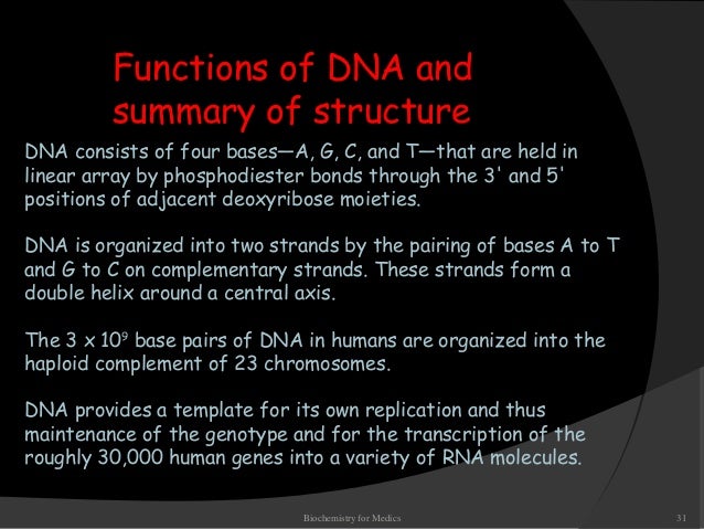 a summary of dna Dna replication - for replication, cells depend on a process known as dna replication where did this elegant mechanism come from did it arise by. a summary of dna Dna replication - for replication, cells depend on a process known as dna replication where did this elegant mechanism come from did it arise by.