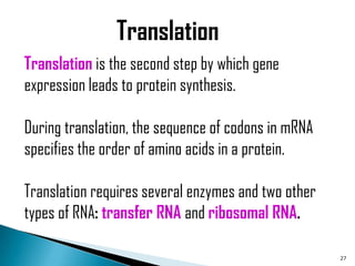 Translation
Translation is the second step by which gene
expression leads to protein synthesis.

During translation, the sequence of codons in mRNA
specifies the order of amino acids in a protein.

Translation requires several enzymes and two other
types of RNA: transfer RNA and ribosomal RNA.

                                                     27
 