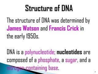 Structure of DNA
The structure of DNA was determined by
James Watson and Francis Crick in
the early 1950s.

DNA is a polynucleotide; nucleotides are
composed of a phosphate, a sugar, and a
nitrogen-containing base.                  4
 
