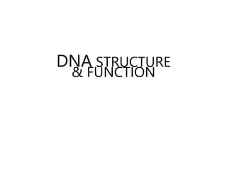 DNA STRUCTURE
& FUNCTION
 