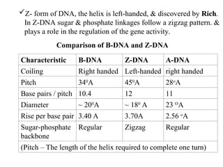 Regular Dna DNA Structure and Replication From Principle Of Genetics | PPT
