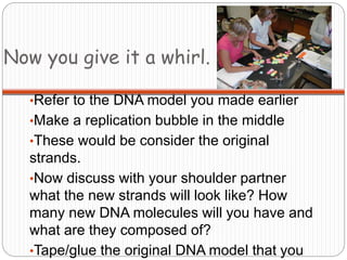 Now you give it a whirl.
•Refer to the DNA model you made earlier
•Make a replication bubble in the middle
•These would be consider the original
strands.
•Now discuss with your shoulder partner
what the new strands will look like? How
many new DNA molecules will you have and
what are they composed of?
•Tape/glue the original DNA model that you
 