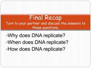 •Why does DNA replicate?
•When does DNA replicate?
•How does DNA replicate?
Final Recap
Turn to your partner and discuss the answers to
these questions.
 