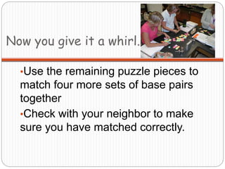 Now you give it a whirl.
•Use the remaining puzzle pieces to
match four more sets of base pairs
together
•Check with your neighbor to make
sure you have matched correctly.
 