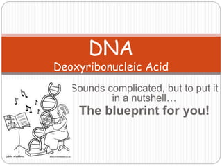 Sounds complicated, but to put it
in a nutshell…
The blueprint for you!
DNA
Deoxyribonucleic Acid
 