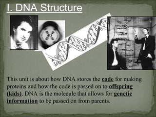 I. DNA Structure
This unit is about how DNA stores the code for making
proteins and how the code is passed on to offspring
(kids). DNA is the molecule that allows for genetic
information to be passed on from parents.
 