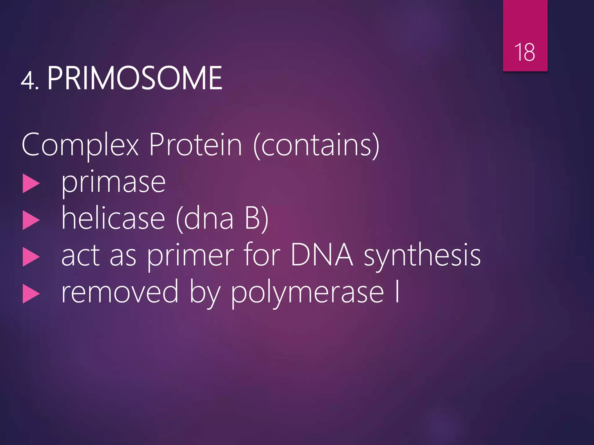 4. PRIMOSOME
Complex Protein (contains)
 primase
 helicase (dna B)
 act as primer for DNA synthesis
 removed by polymerase I
18
 