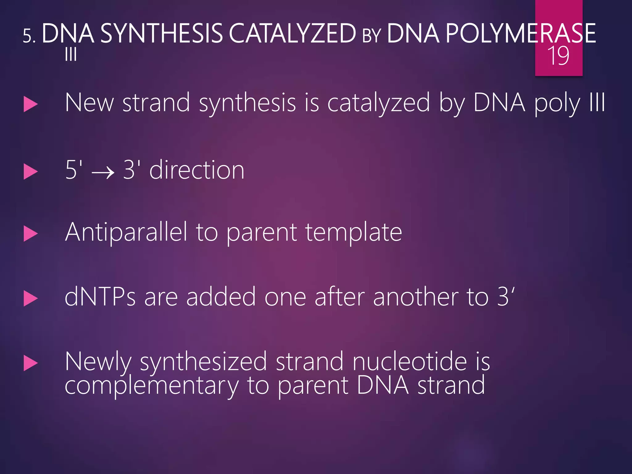 5. DNA SYNTHESIS CATALYZED BY DNA POLYMERASE
III
 New strand synthesis is catalyzed by DNA poly III
 5'  3' direction
 Antiparallel to parent template
 dNTPs are added one after another to 3‘
 Newly synthesized strand nucleotide is
complementary to parent DNA strand
19
 