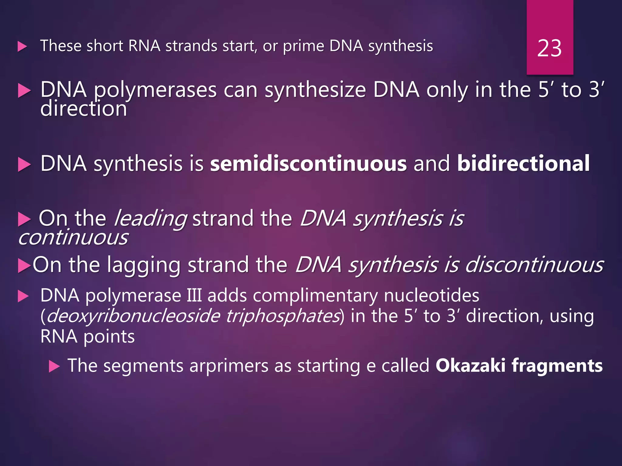  These short RNA strands start, or prime DNA synthesis
 DNA polymerases can synthesize DNA only in the 5’ to 3’
direction
 DNA synthesis is semidiscontinuous and bidirectional
 On the leading strand the DNA synthesis is
continuous
On the lagging strand the DNA synthesis is discontinuous
 DNA polymerase III adds complimentary nucleotides
(deoxyribonucleoside triphosphates) in the 5’ to 3’ direction, using
RNA points
 The segments arprimers as starting e called Okazaki fragments
23
 