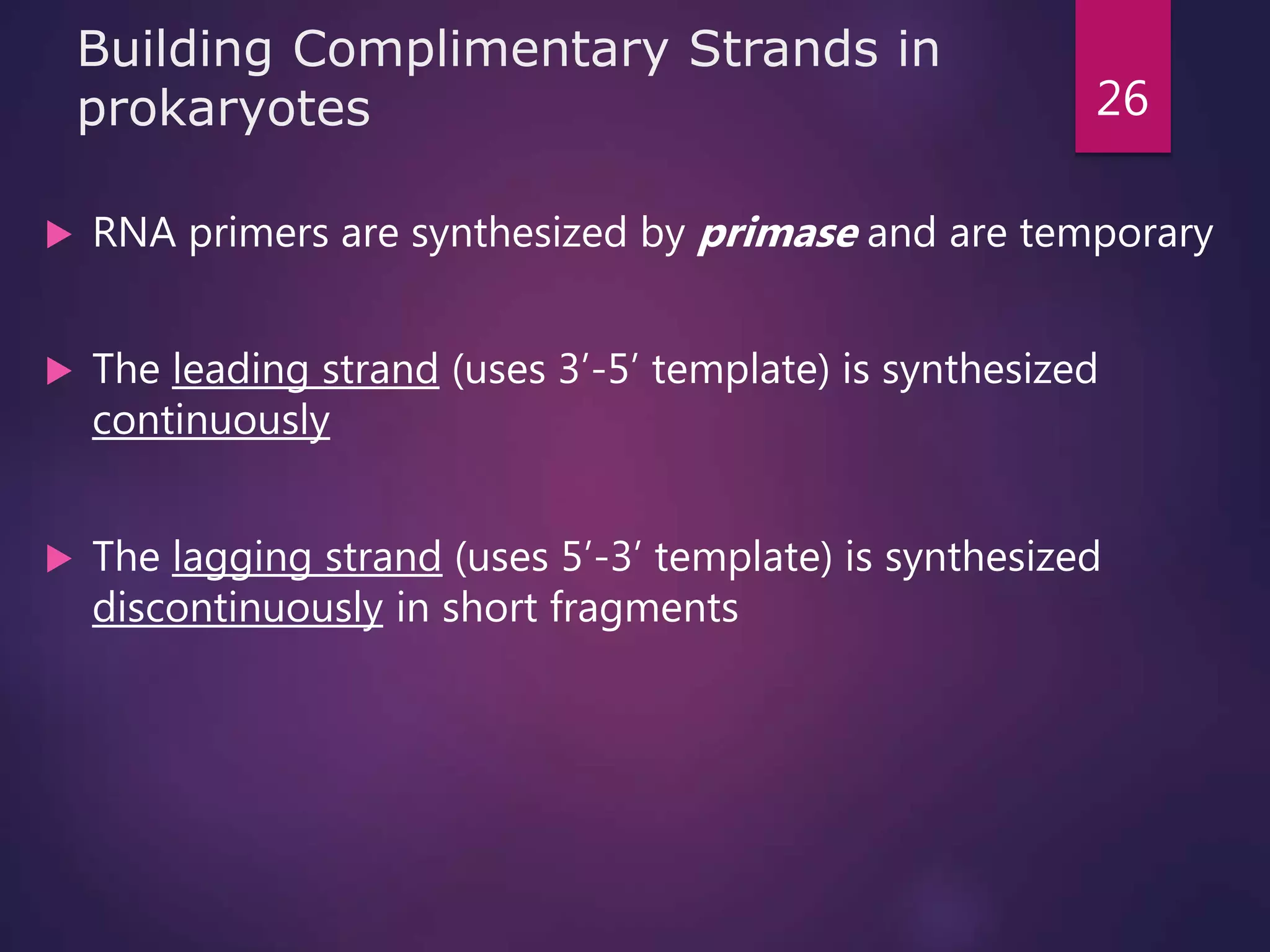 Building Complimentary Strands in
prokaryotes
 RNA primers are synthesized by primase and are temporary
 The leading strand (uses 3’-5’ template) is synthesized
continuously
 The lagging strand (uses 5’-3’ template) is synthesized
discontinuously in short fragments
26
 