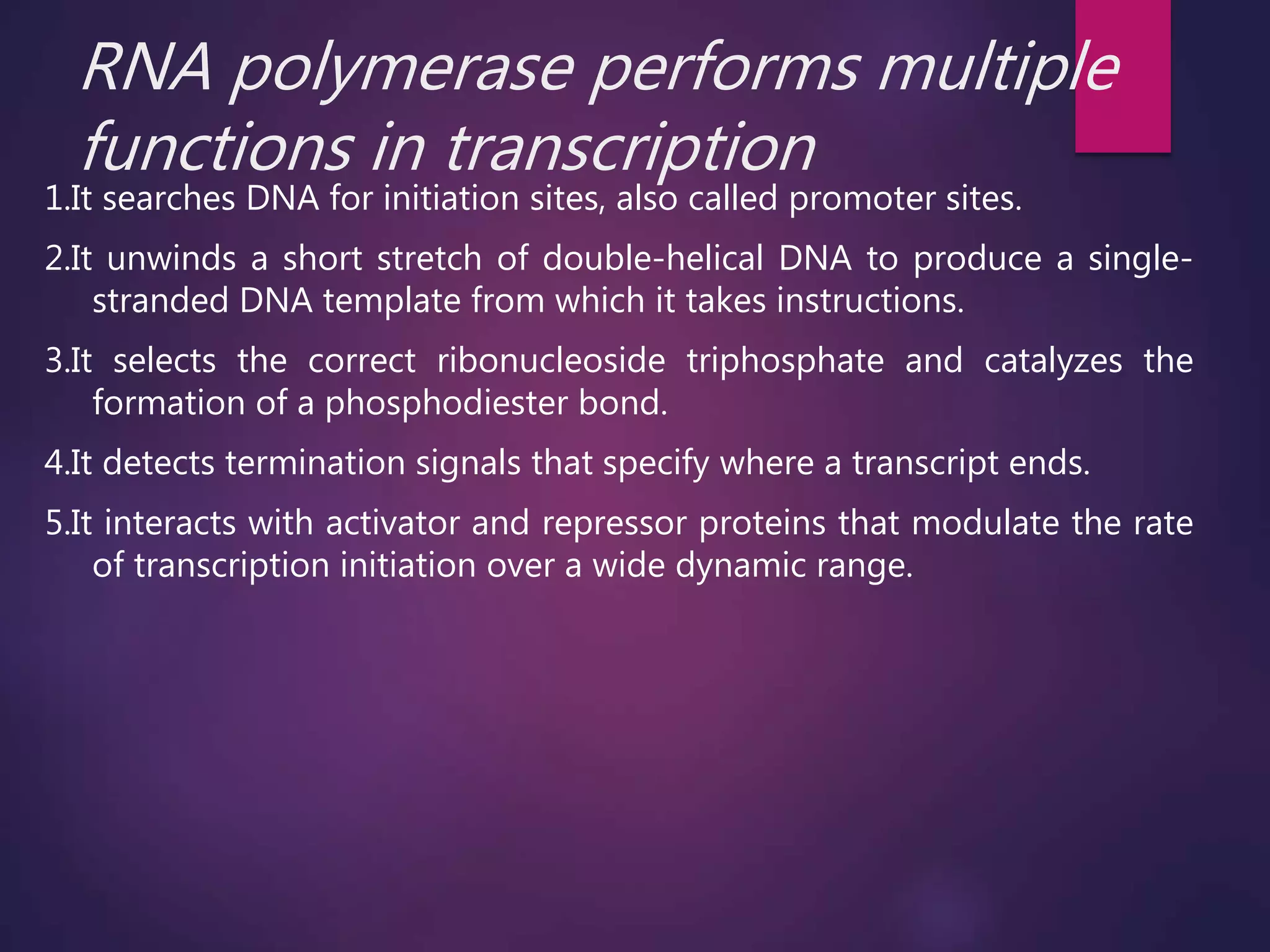RNA polymerase performs multiple
functions in transcription
1.It searches DNA for initiation sites, also called promoter sites.
2.It unwinds a short stretch of double-helical DNA to produce a single-
stranded DNA template from which it takes instructions.
3.It selects the correct ribonucleoside triphosphate and catalyzes the
formation of a phosphodiester bond.
4.It detects termination signals that specify where a transcript ends.
5.It interacts with activator and repressor proteins that modulate the rate
of transcription initiation over a wide dynamic range.
 