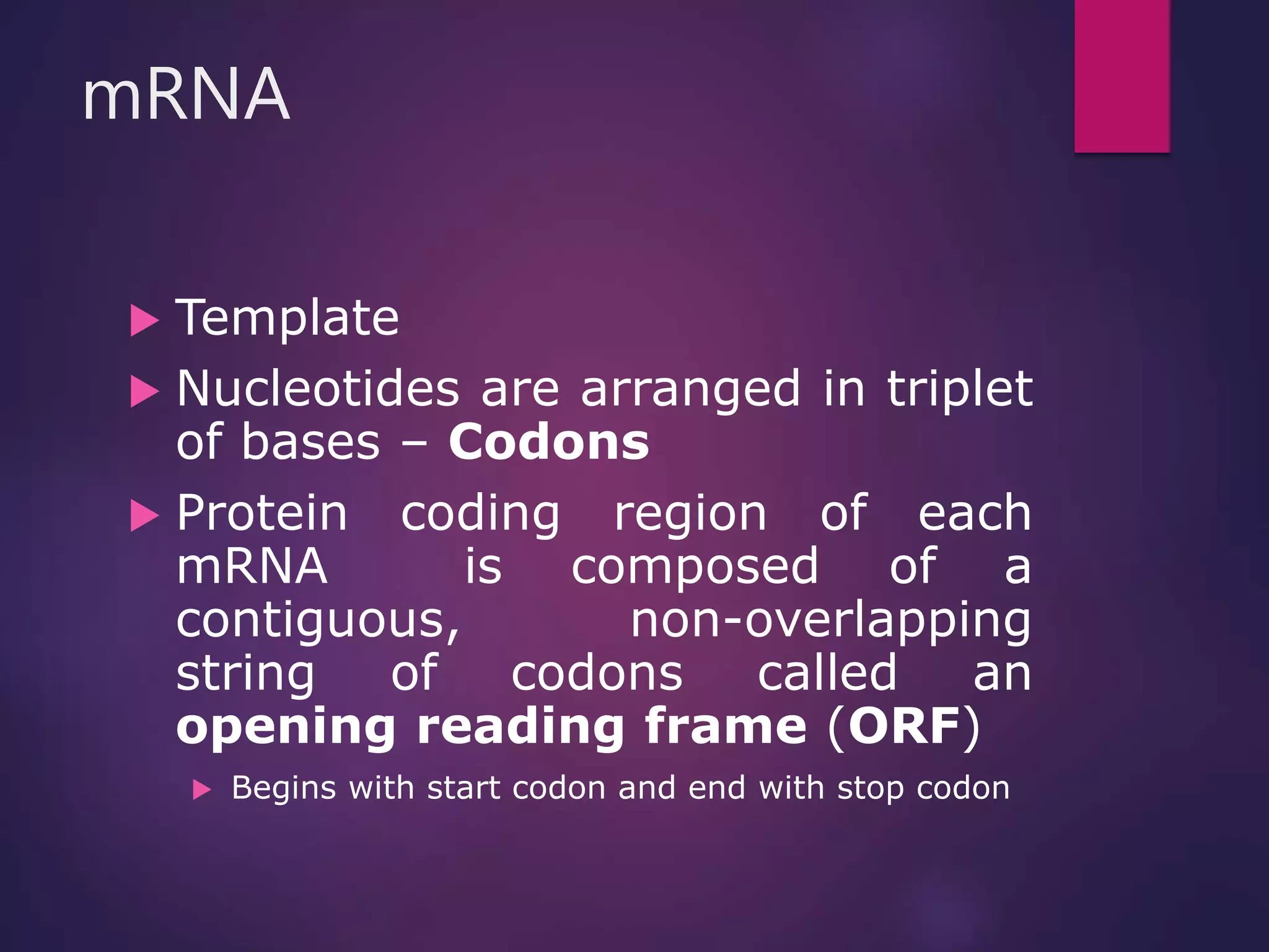 mRNA
 Template
 Nucleotides are arranged in triplet
of bases – Codons
 Protein coding region of each
mRNA is composed of a
contiguous, non-overlapping
string of codons called an
opening reading frame (ORF)
 Begins with start codon and end with stop codon
 