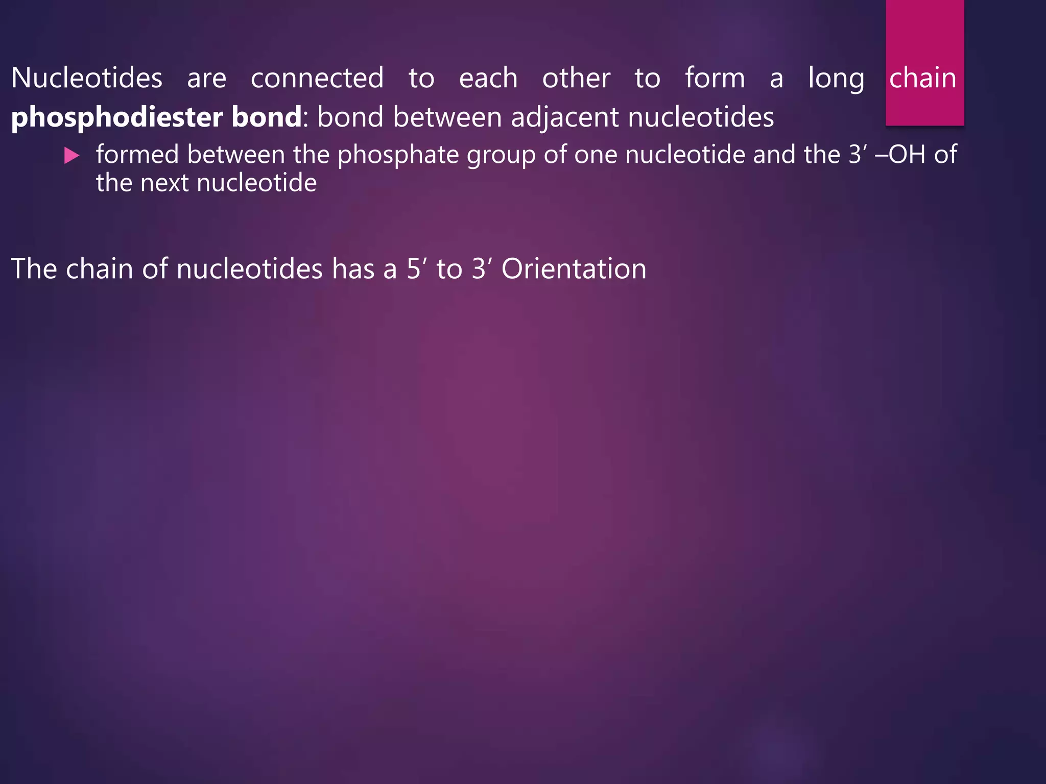 Nucleotides are connected to each other to form a long chain
phosphodiester bond: bond between adjacent nucleotides
 formed between the phosphate group of one nucleotide and the 3’ –OH of
the next nucleotide
The chain of nucleotides has a 5’ to 3’ Orientation
 