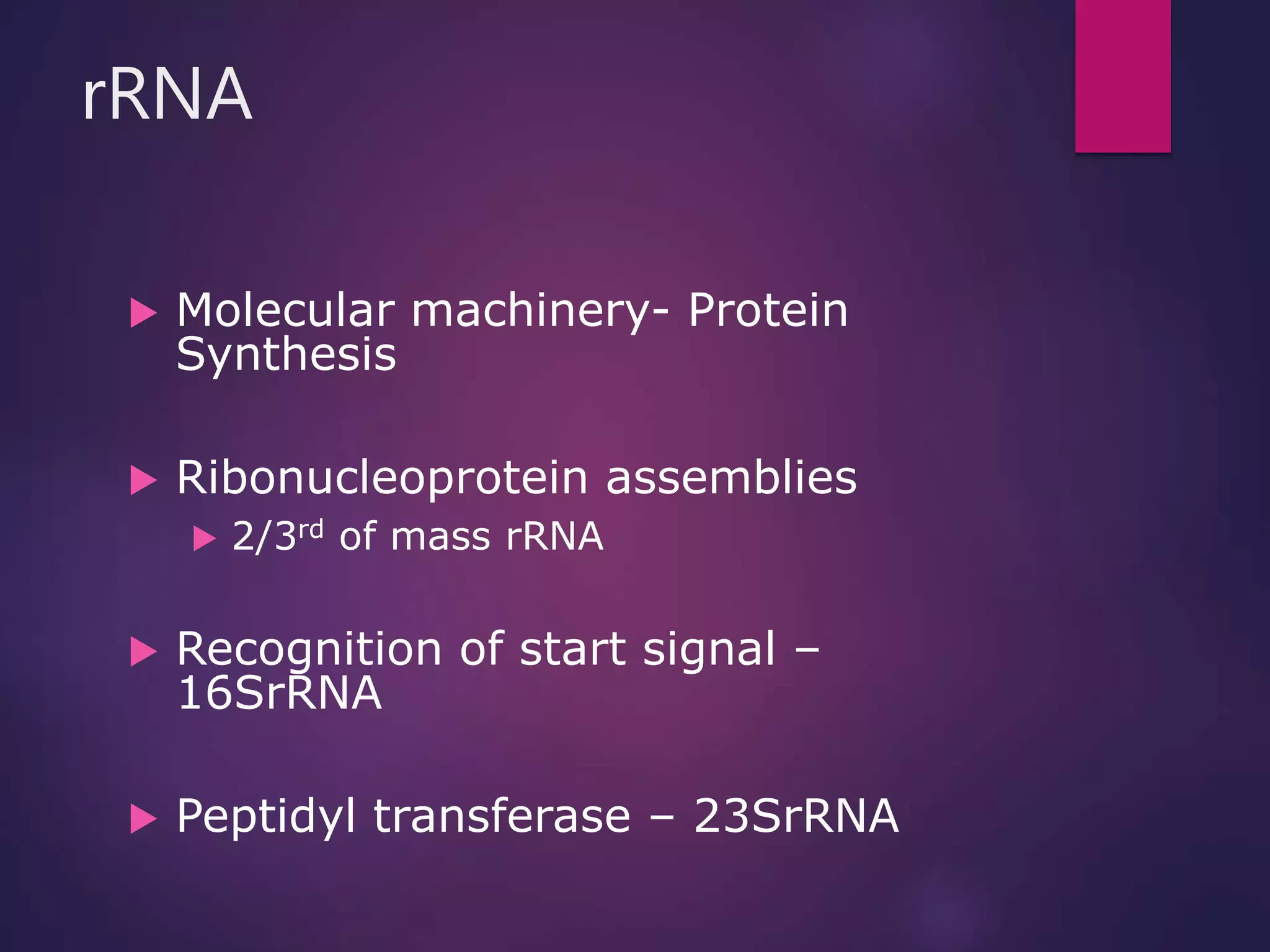 rRNA
 Molecular machinery- Protein
Synthesis
 Ribonucleoprotein assemblies
 2/3rd of mass rRNA
 Recognition of start signal –
16SrRNA
 Peptidyl transferase – 23SrRNA
 
