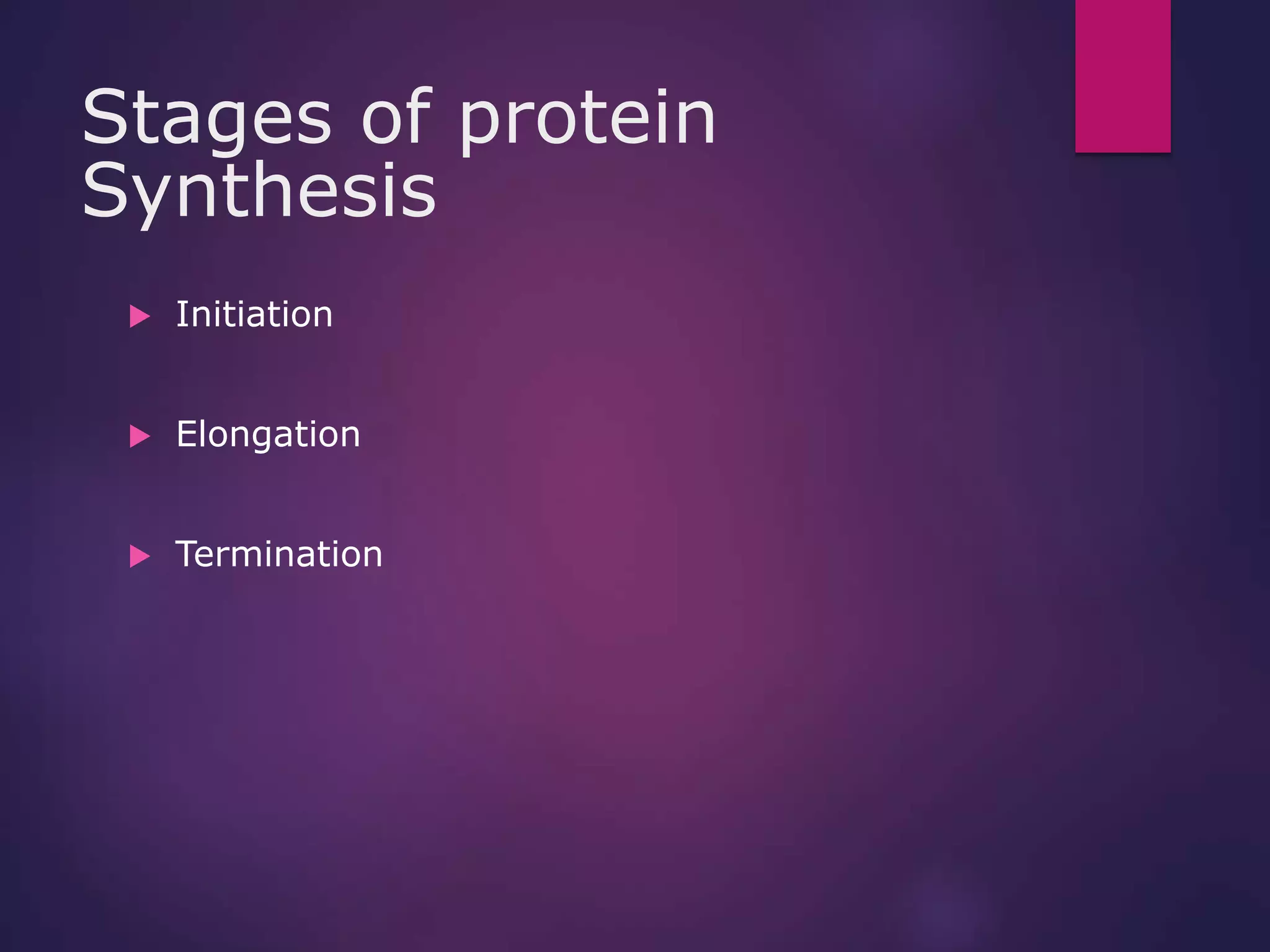 Stages of protein
Synthesis
 Initiation
 Elongation
 Termination
 