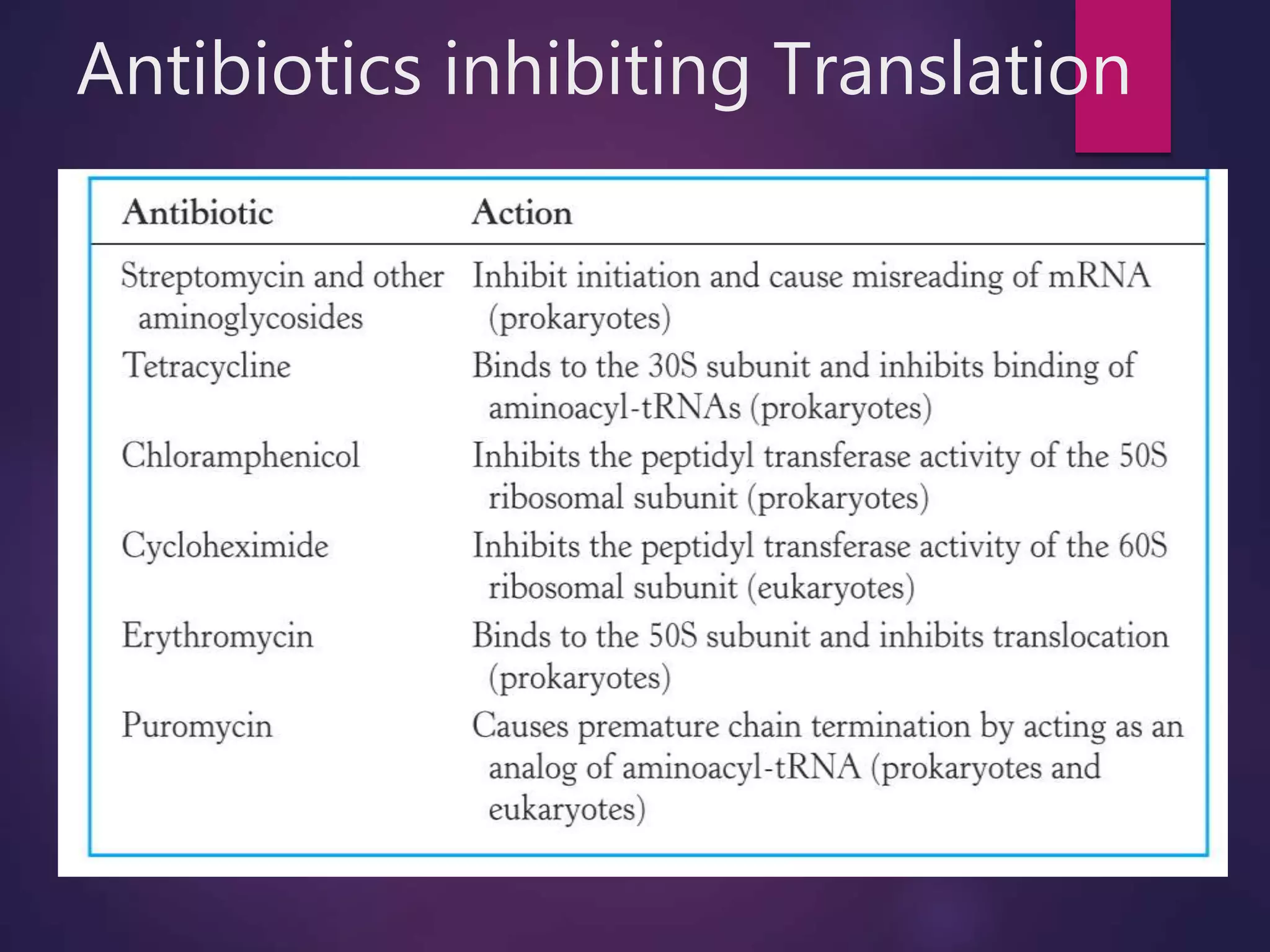 Antibiotics inhibiting Translation
 