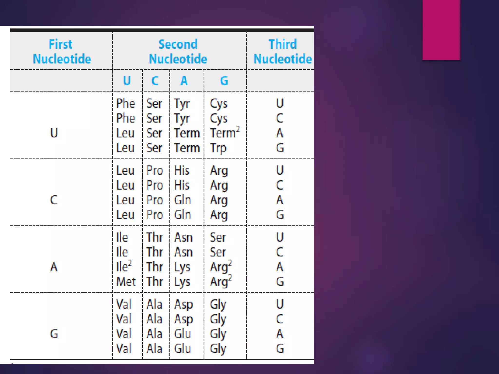Dna  structure &amp; replication