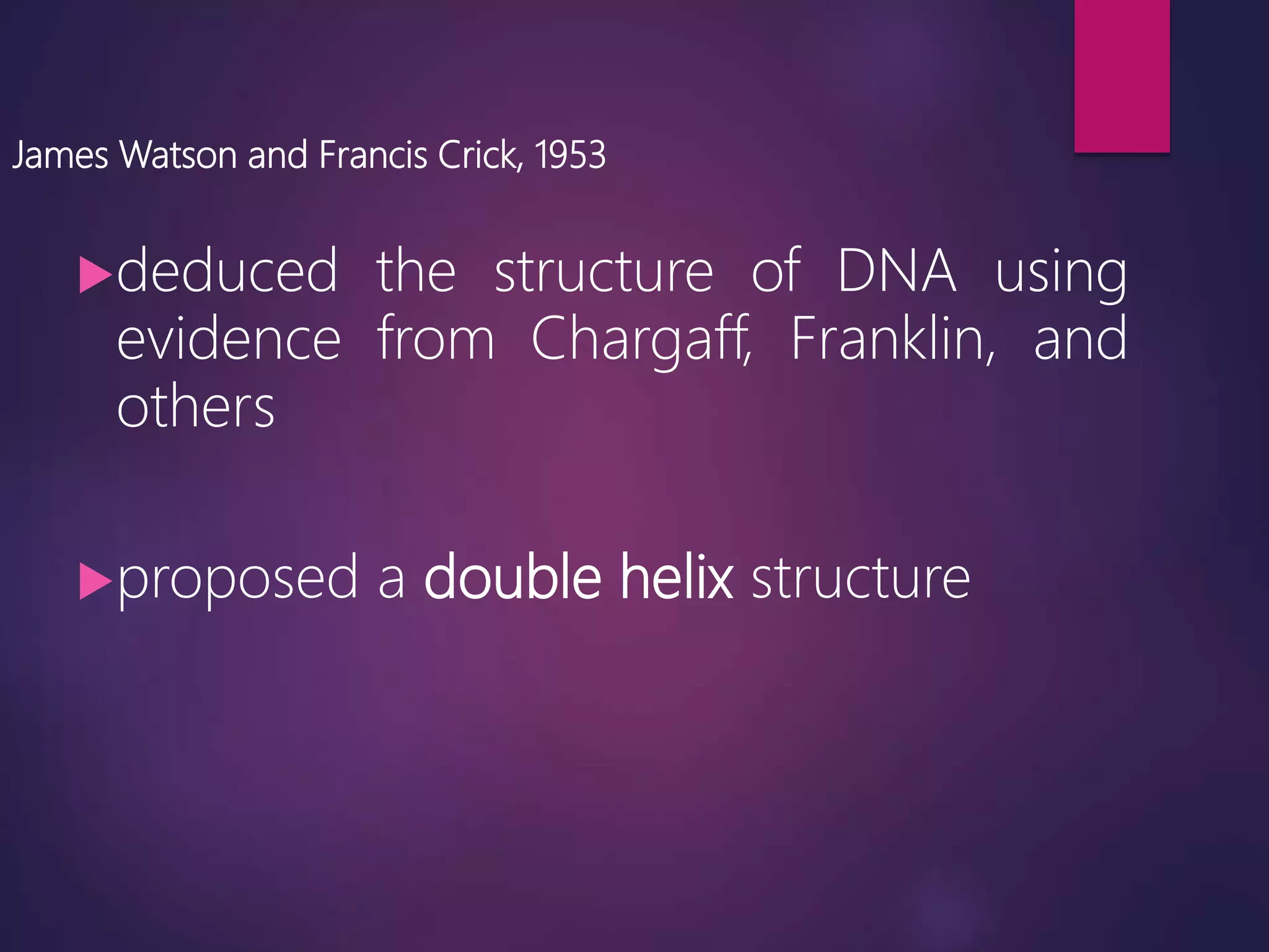 James Watson and Francis Crick, 1953
deduced the structure of DNA using
evidence from Chargaff, Franklin, and
others
proposed a double helix structure
 