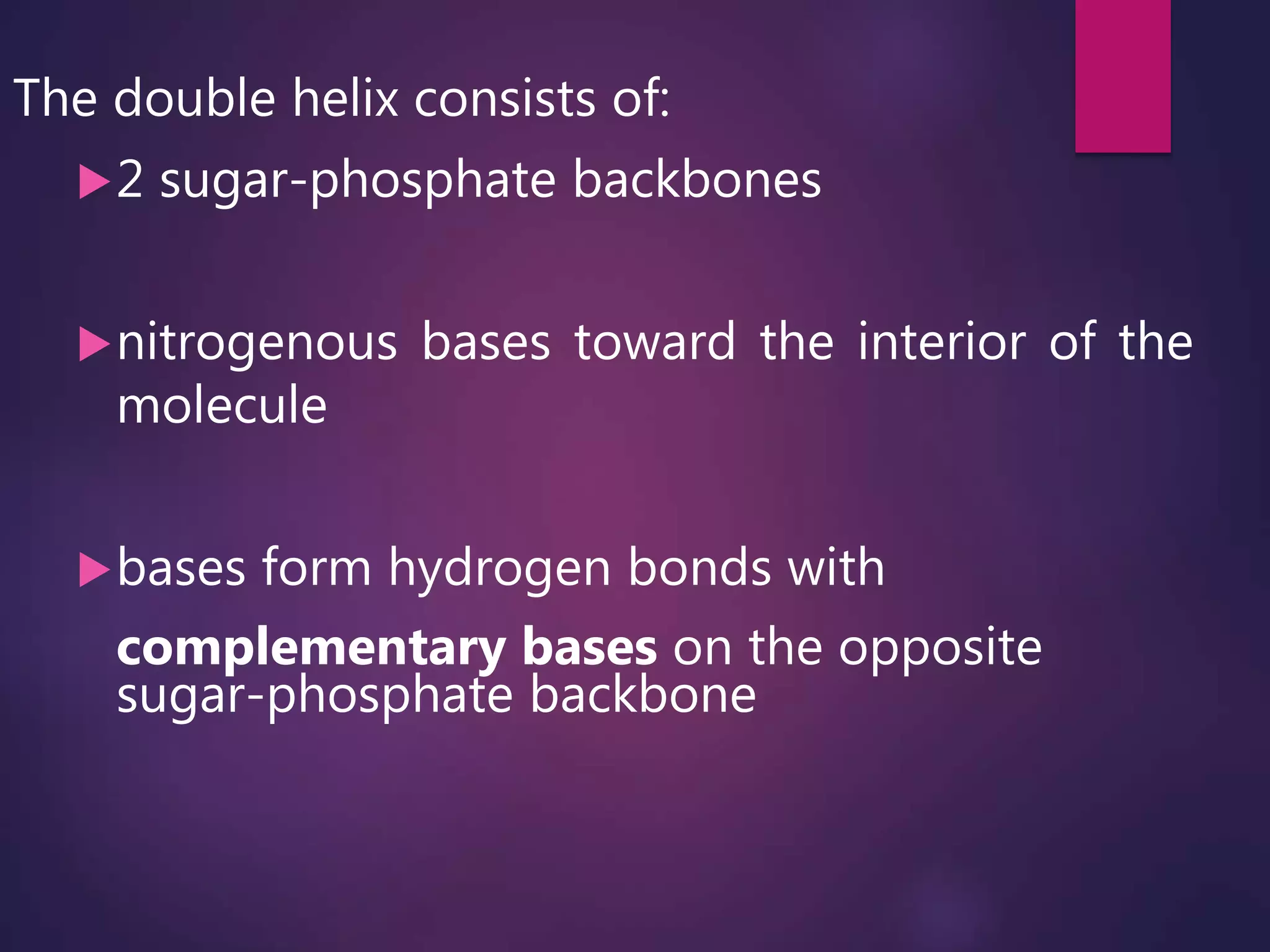 The double helix consists of:
2 sugar-phosphate backbones
nitrogenous bases toward the interior of the
molecule
bases form hydrogen bonds with
complementary bases on the opposite
sugar-phosphate backbone
 