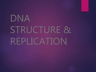 DNA
STRUCTURE &
REPLICATION
 